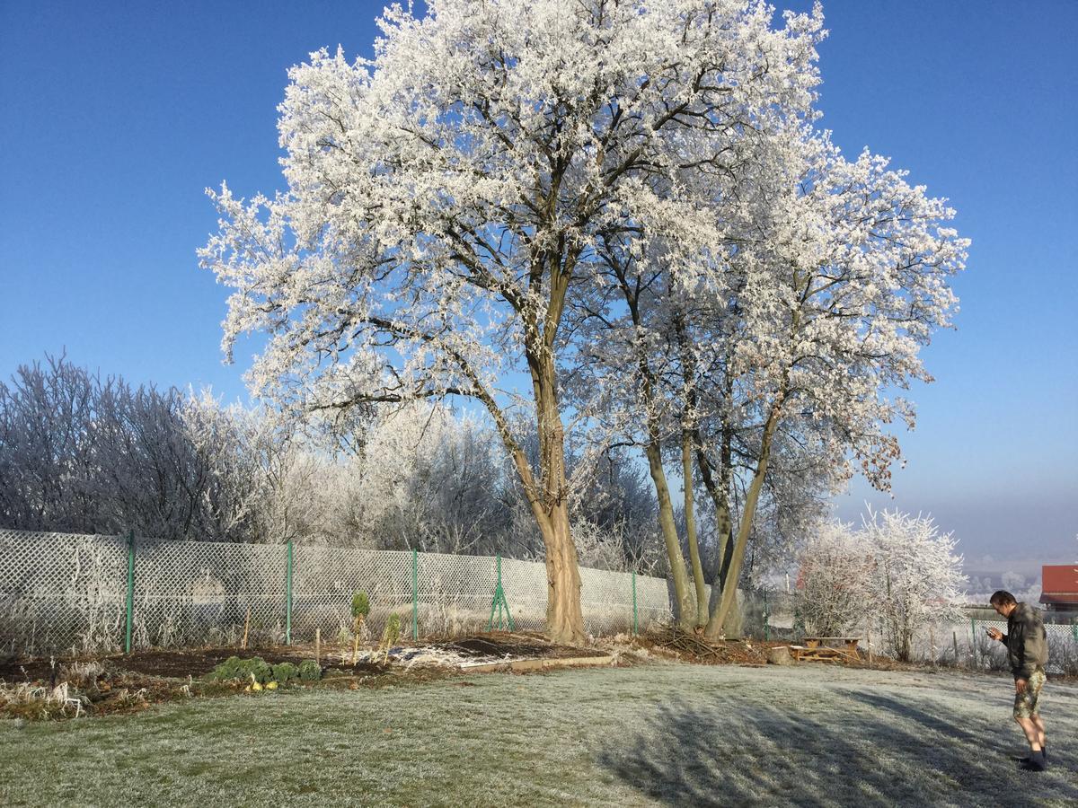 Vila Justyna Pardubice Exteriér fotografie